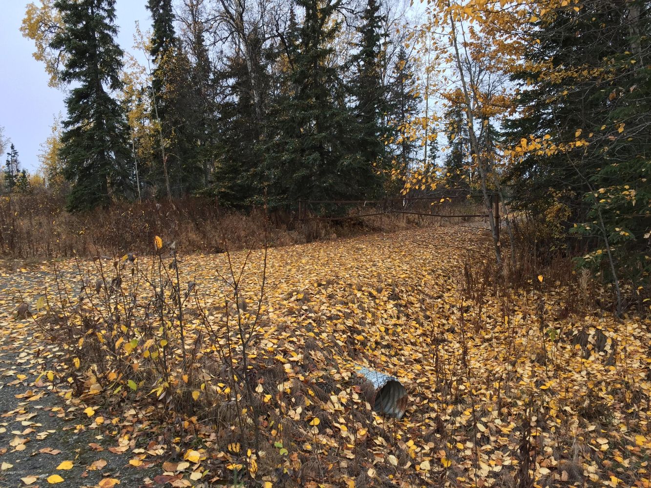 63885 Tailwind Rd, Ninilchik, AK 99639